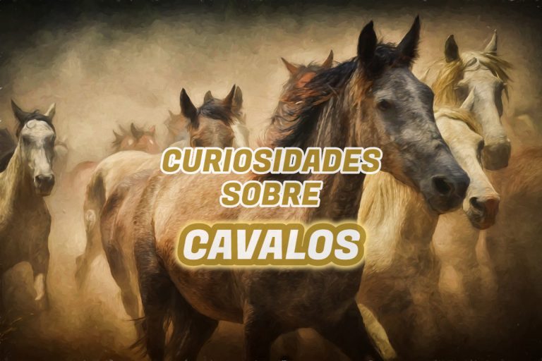 Top 10 curiosidades sobre Cavalos
