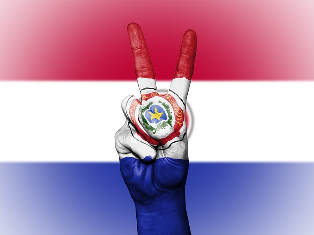 Idiomas oficiais do Paraguai