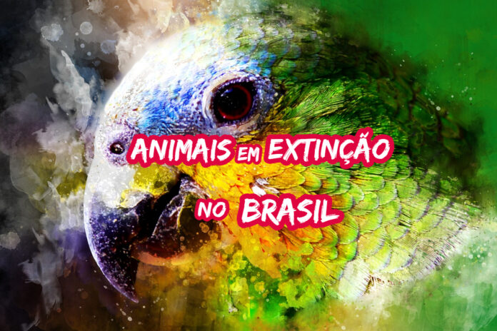 Animais em extinção no Brasil