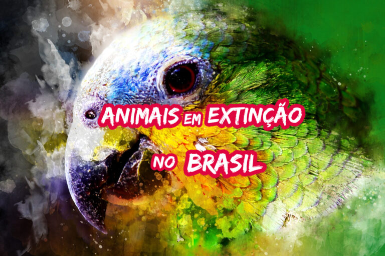 Top 10 animais em extinção no Brasil que em breve podem desaparecer