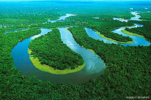 Qual é o maior rio do mundo - Rio Amazonas