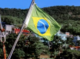 Curiosidades sobre brasileiros na internet