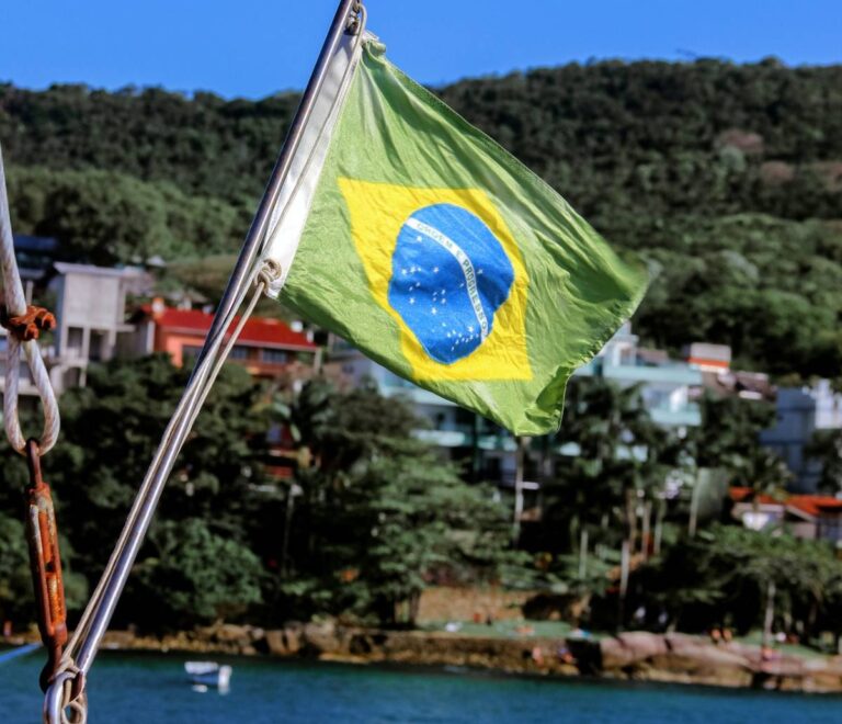 Top 10 curiosidades sobre brasileiros na internet